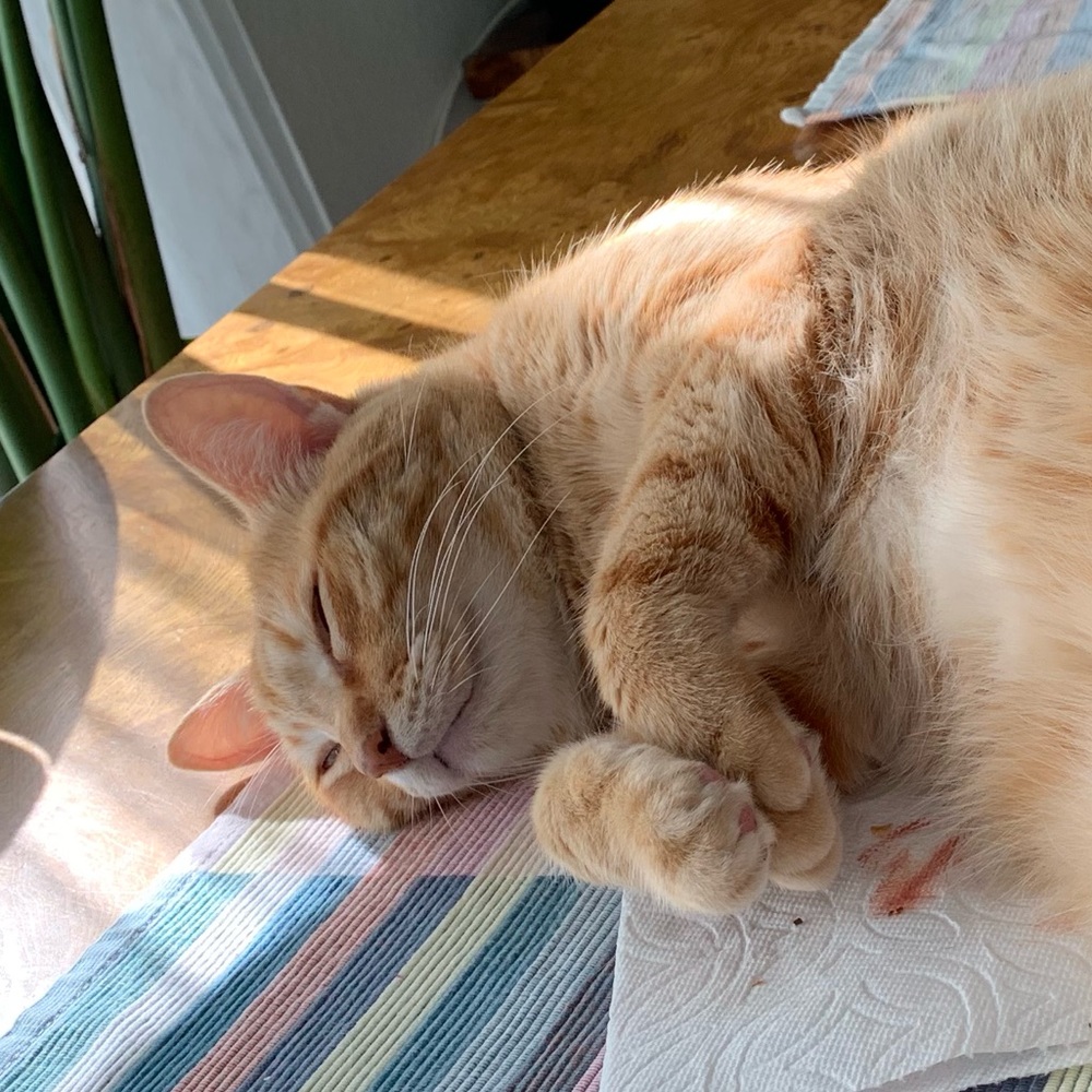 Meet your Posher, Kristy